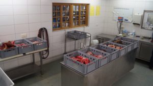 Frischfleisch präsentiert im großzügig angelegten Verkaufsraum